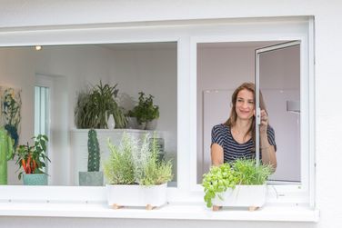 Neher Insektenschutz - DF Drehfenster 01