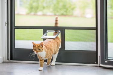Neher Insektenschutz - DT Katzenklappe 01